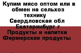 Купим мясо оптом или в обмен на сельхоз. технику.  - Свердловская обл., Екатеринбург г. Продукты и напитки » Фермерские продукты   . Свердловская обл.,Екатеринбург г.